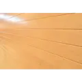 Infrasauna Belatrix Braga 2 Lux