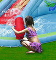 Aqua park - Krokodýl
